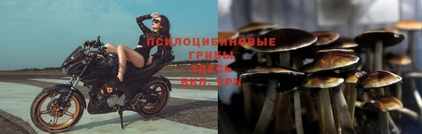 мескалин Горнозаводск